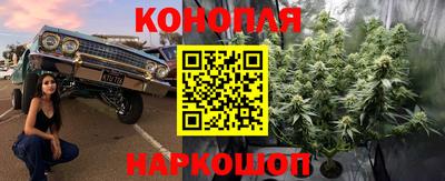 прущая мука Моздок