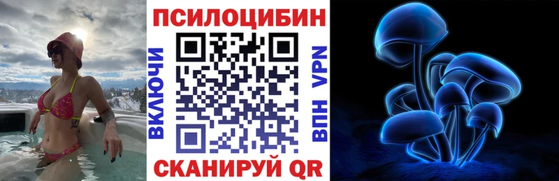 Псилоцибиновые грибы Magic Shrooms  hydra сайт  Норильск  продажа наркотиков 