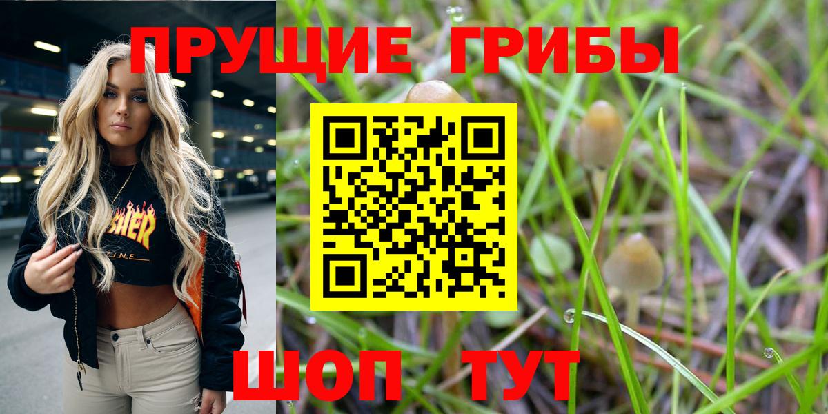 Галлюциногенные грибы Magic Shrooms Норильск